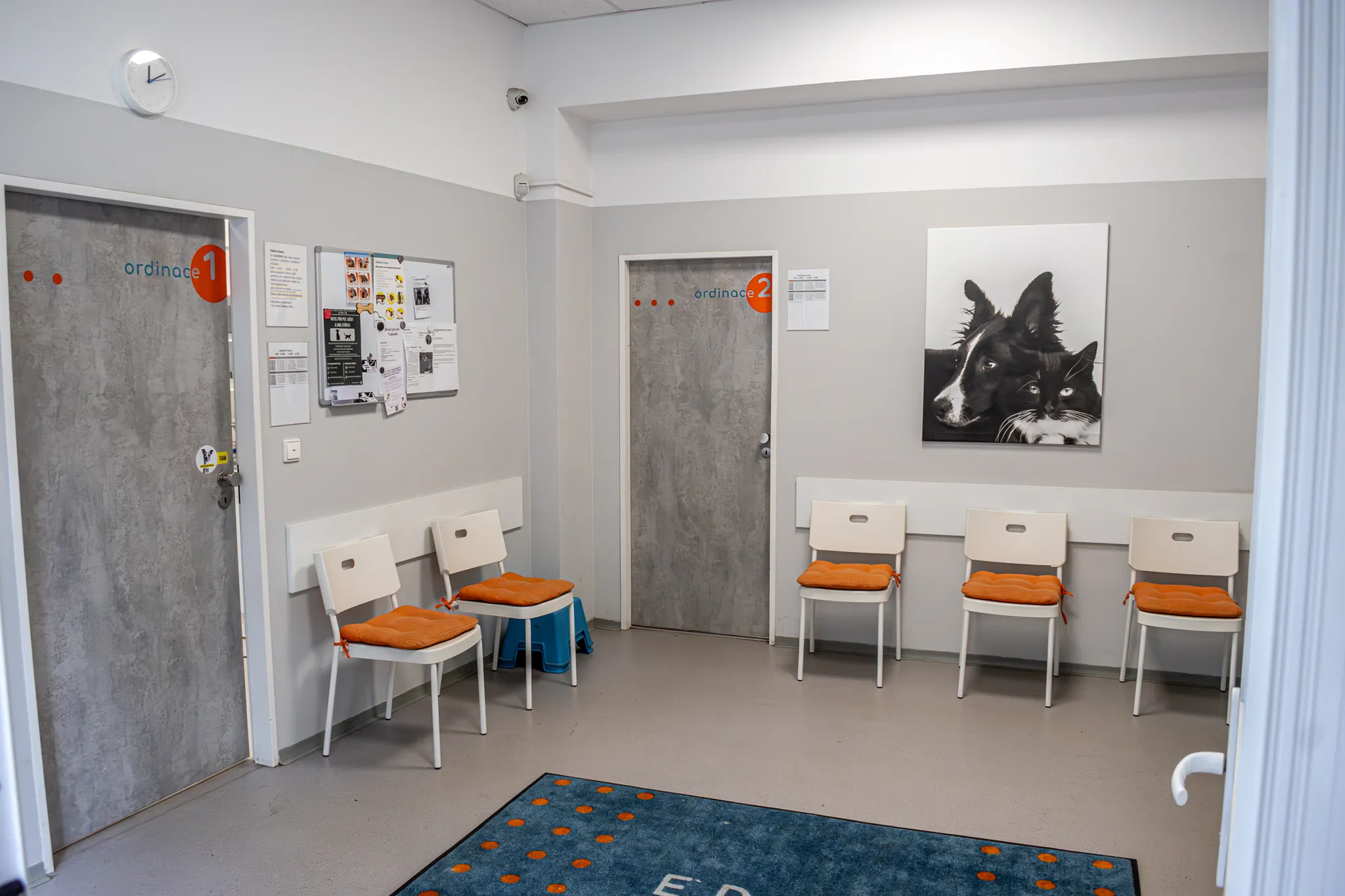 Fotografie 5
