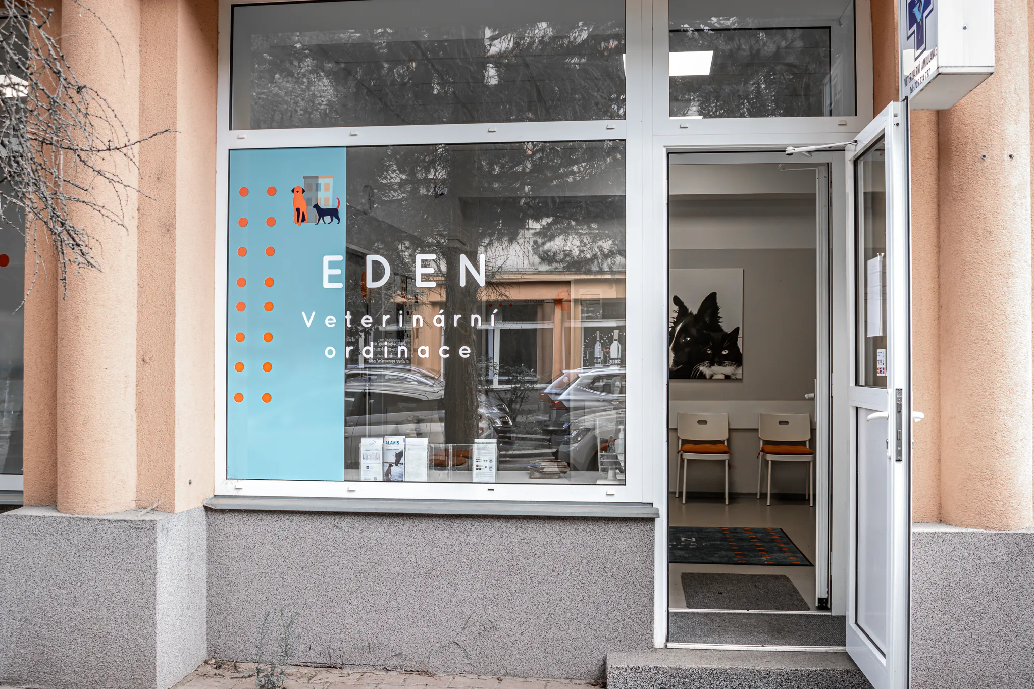 Ordinace Eden